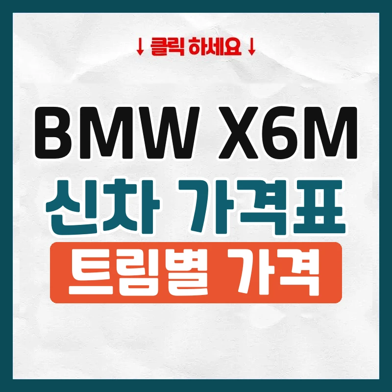 X6M 신차 가격표