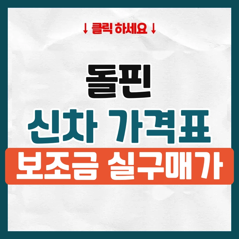 돌핀 신차 가격표