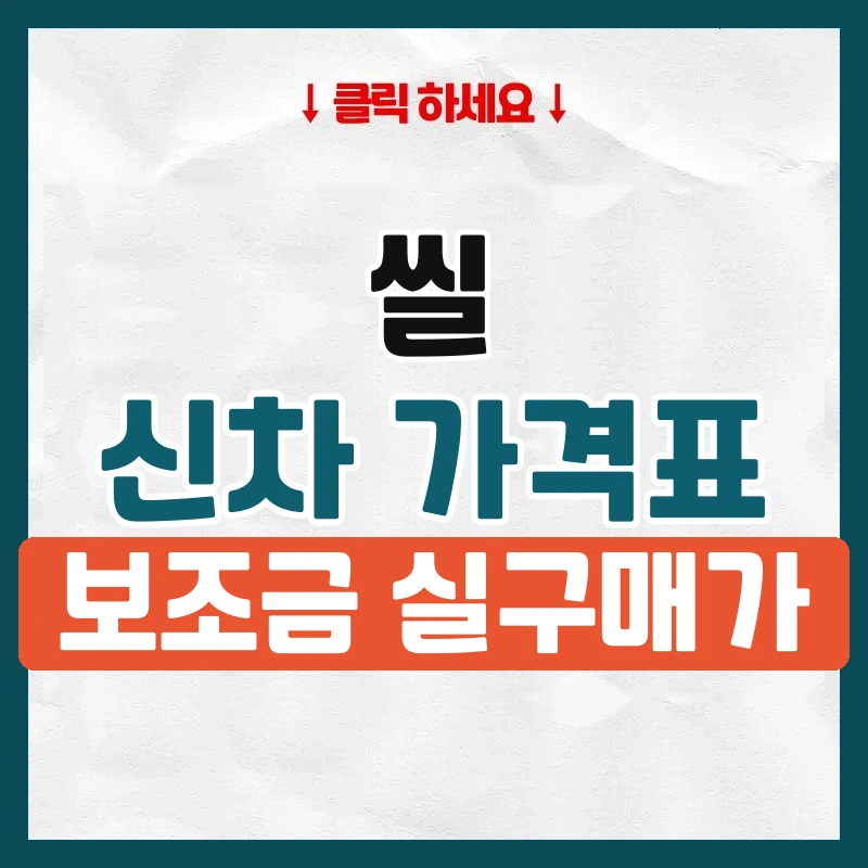 씰 신차 가격표
