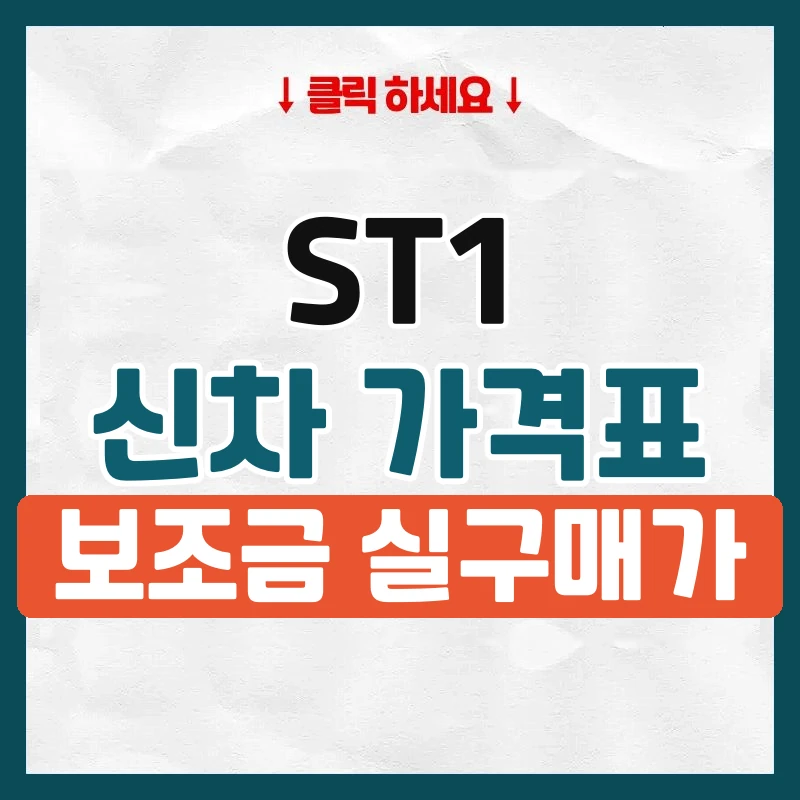 ST1 신차 가격표