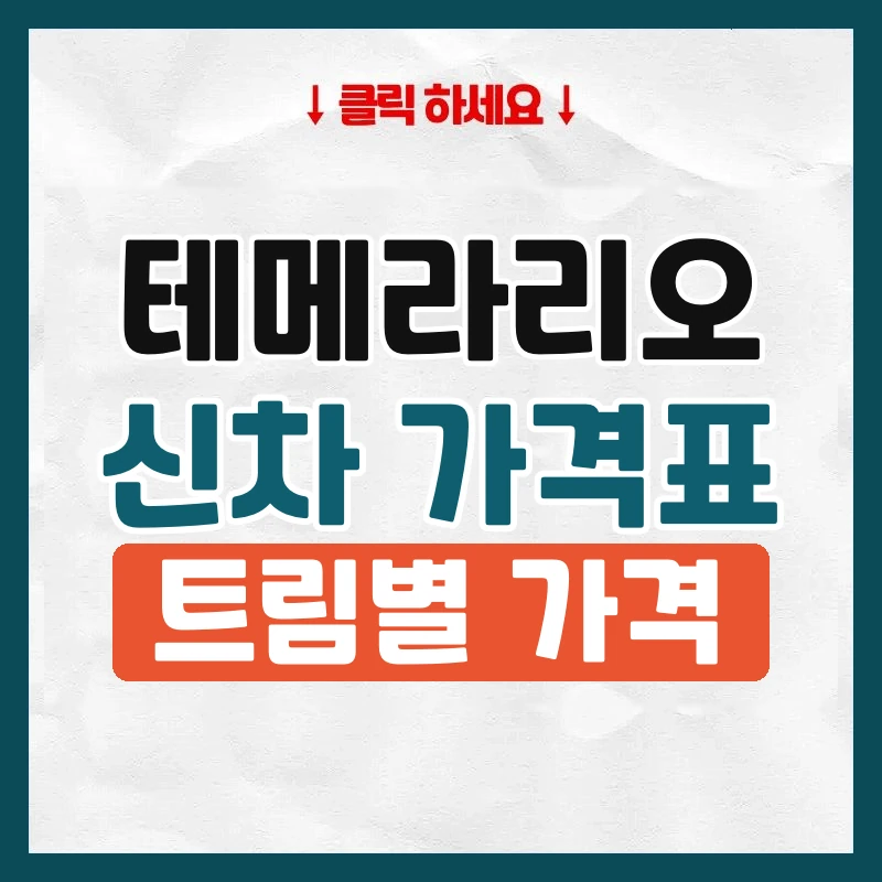 테메라리오 신차 가격표