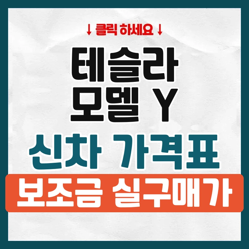 모델 Y 신차 가격표