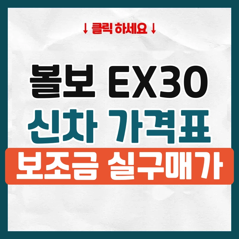 EX30 신차 가격표