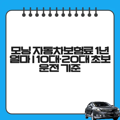 모닝 자동차보험료 1년 얼마 | 10대·20대 초보 운전 기준