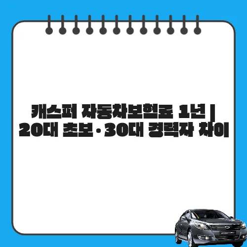 캐스퍼 자동차보험료 1년 | 20대 초보·30대 경력자 차이