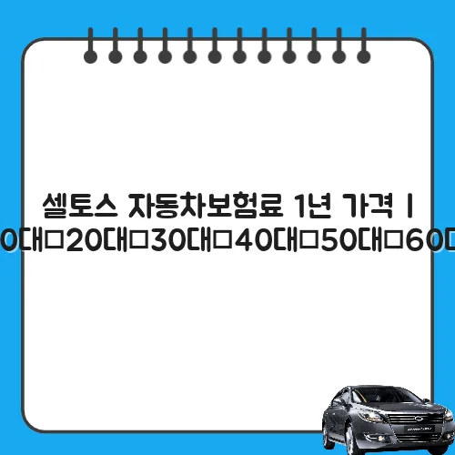 셀토스 자동차보험료 1년 가격 | 10대·20대·30대·40대·50대·60대