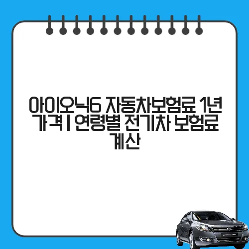 아이오닉6 자동차보험료 1년 가격 | 연령별 전기차 보험료 계산