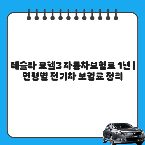 테슬라 모델3 자동차보험료 1년 | 연령별 전기차 보험료 정리