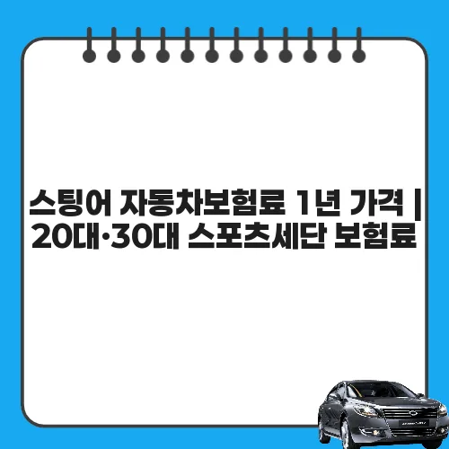 스팅어 자동차보험료 1년 가격 | 20대·30대 스포츠세단 보험료