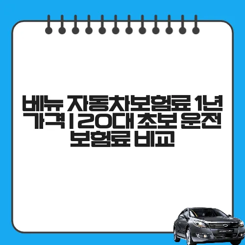 베뉴 자동차보험료 1년 가격 | 20대 초보 운전 보험료 비교