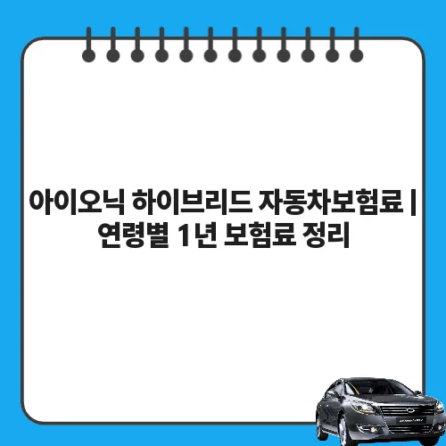 아이오닉 하이브리드 자동차보험료 | 연령별 1년 보험료 정리