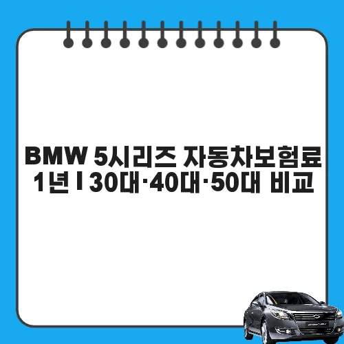 BMW 5시리즈 자동차보험료 1년 | 30대·40대·50대 비교
