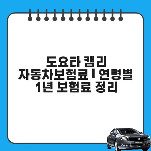도요타 캠리 자동차보험료 | 연령별 1년 보험료 정리