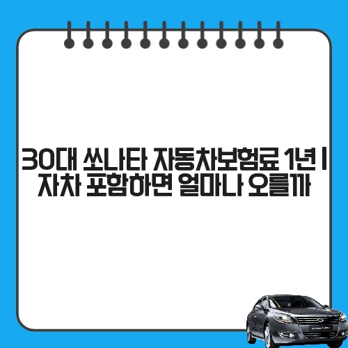 30대 쏘나타 자동차보험료 1년 | 자차 포함하면 얼마나 오를까