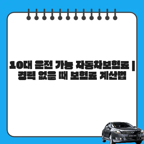 10대 운전 가능 자동차보험료 | 경력 없을 때 보험료 계산법