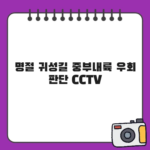 명절 귀성길 중부내륙 우회 판단 CCTV