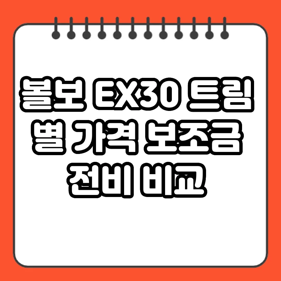 볼보 EX30 트림별 가격 보조금 전비 비교 썸네일